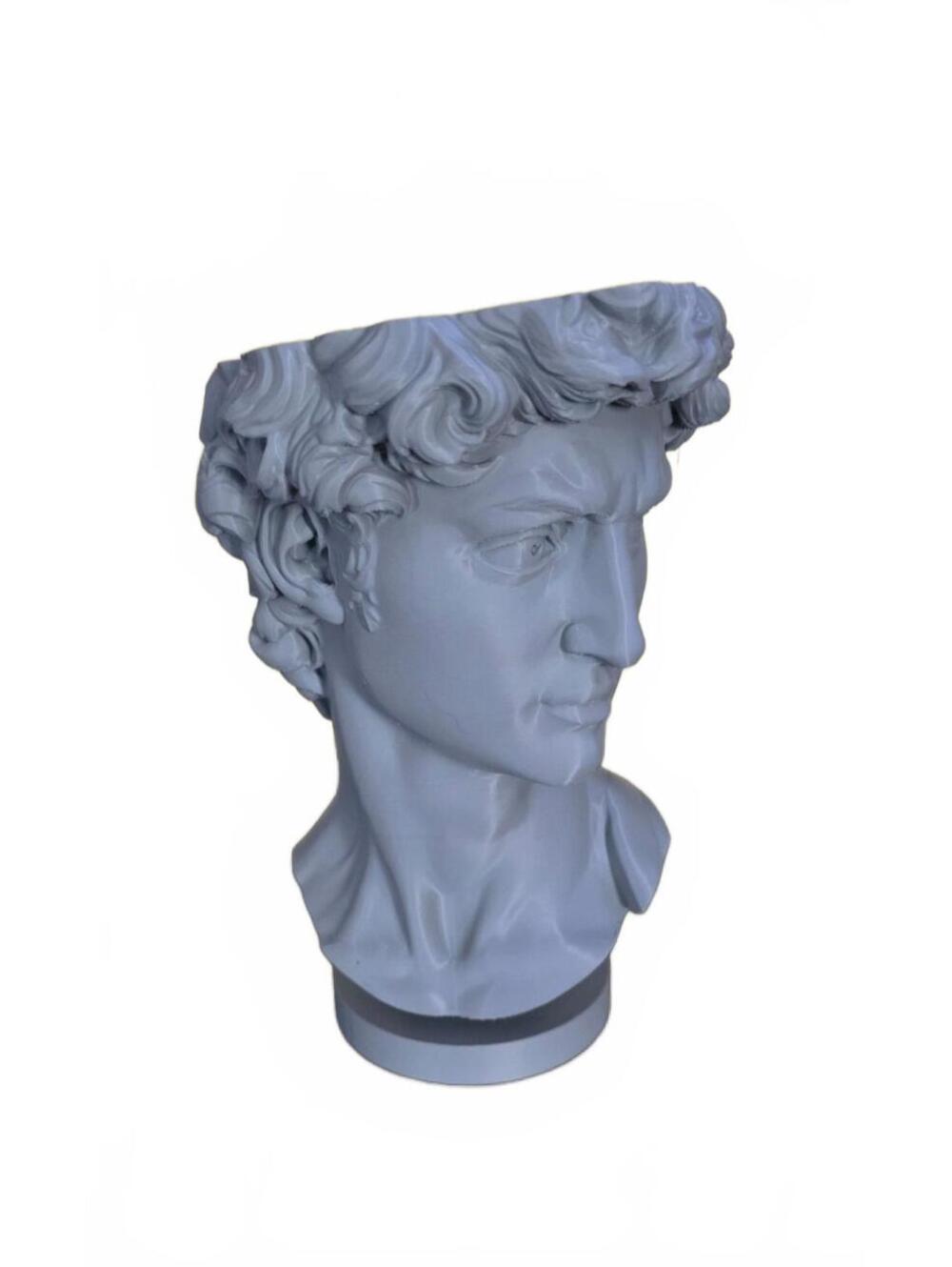 DAVID Bust Sculpture Planter Roman Home Decor